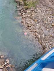 Photo of this report