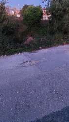 Photo of this report