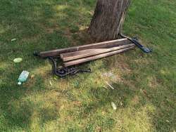 Photo of this report