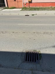 Photo of this report