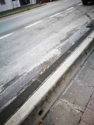 Photo of this report