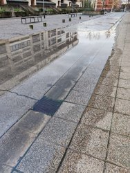 Photo of this report