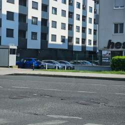 Photo of this report