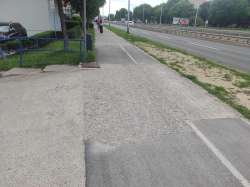 Photo of this report