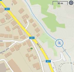 Photo of this report