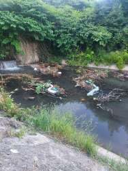 Photo of this report