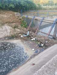 Photo of this report