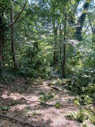 Photo of this report