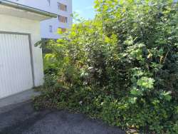 Photo of this report