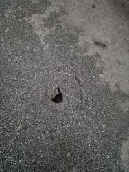 Photo of this report