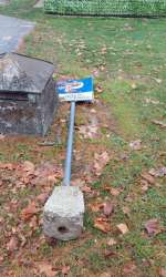 Photo of this report