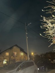 Photo of this report