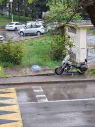 Photo of this report