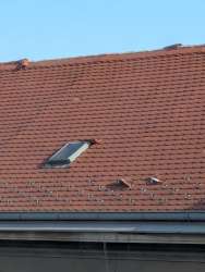 Photo of this report