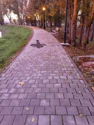 Photo of this report