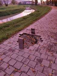 Photo of this report