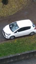 Photo of this report