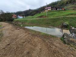 Photo of this report