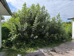 Photo of this report